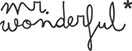 Mr. Wonderful